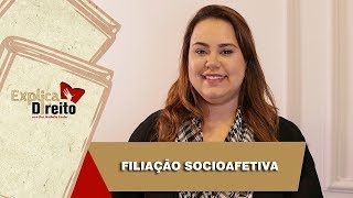 Explica Direito Filiação Socioafetiva  2019 [upl. by Snevets241]