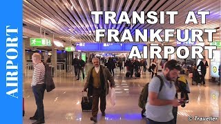 TRANSIT WALK AT FRANKFURT Airport FRA Terminal 1  Connection Flight Transfer Arriving amp Departing [upl. by Nobie]